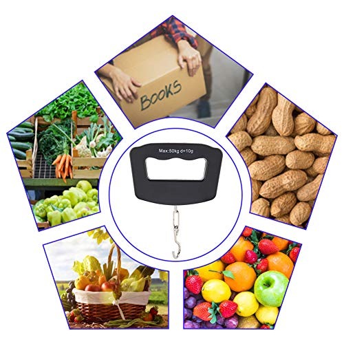50kg Portable Handheld Digital - đánh giá và giá Fishing Hook Stainless Steel