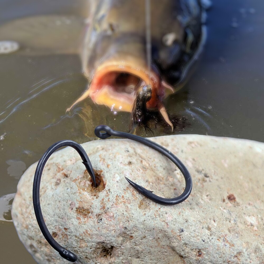 Hirisi Carp Fishing Hooks 50pc - đánh giá và giá Fishing Hook Offset