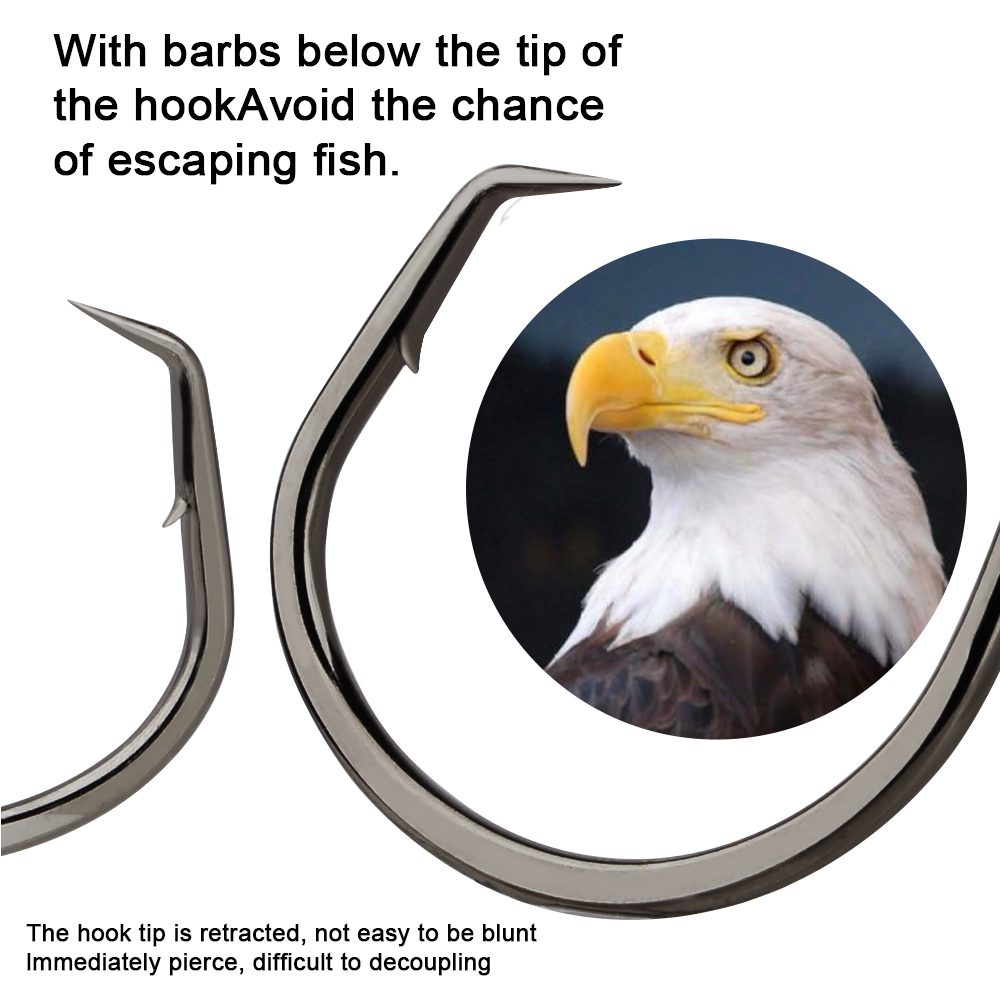 FTK Fishing Hooks Fishing Octo - đánh giá và giá Fishing Hook Circle
